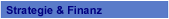 Strategie & Finanz