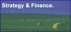 Strategy & Finance